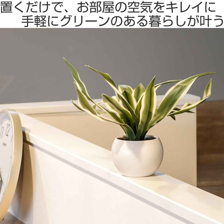 フェイクグリーンドラセナエクリアハンギング