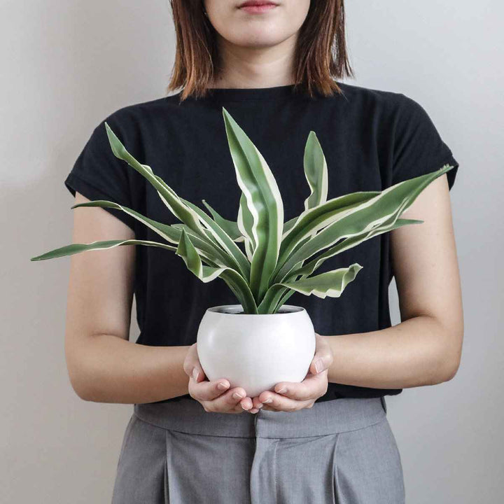 フェイクグリーンドラセナエクリアハンギング