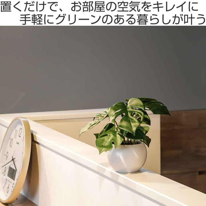 フェイクグリーンモンステラエクリアハンギング