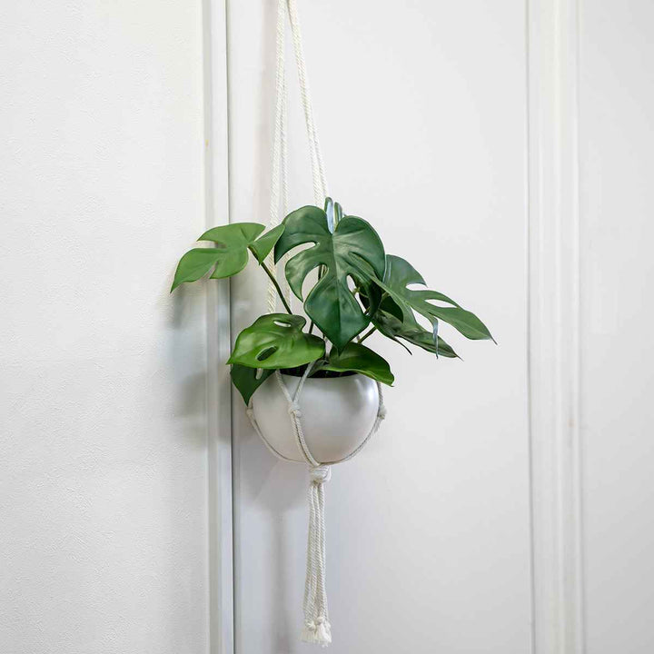 フェイクグリーンモンステラエクリアハンギング