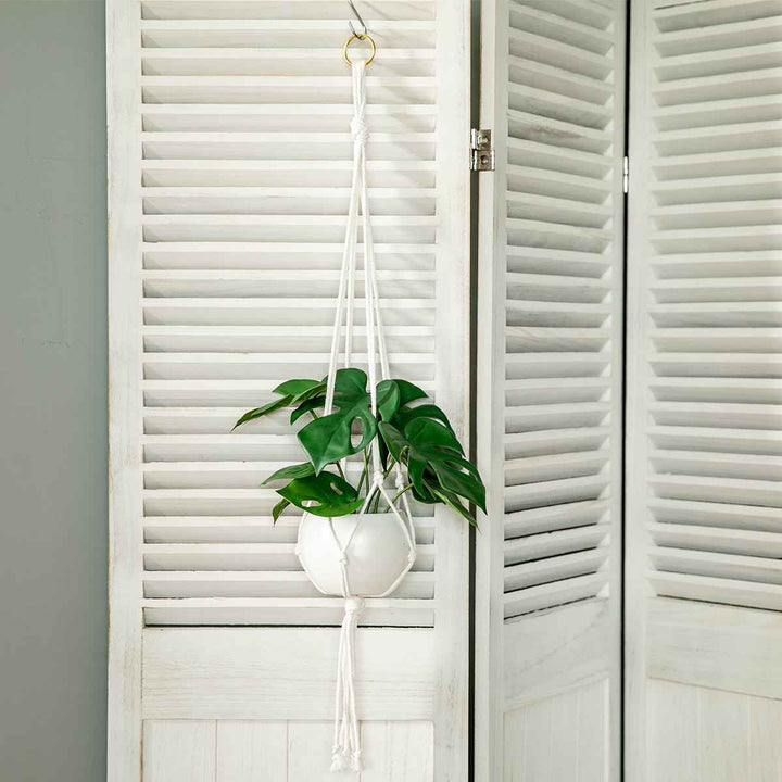 フェイクグリーンモンステラエクリアハンギング