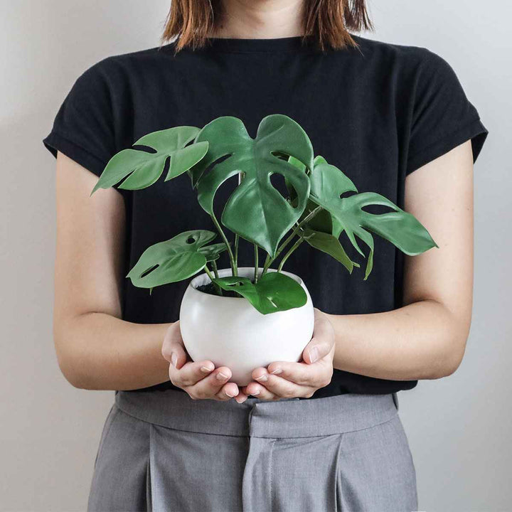 フェイクグリーンモンステラエクリアハンギング