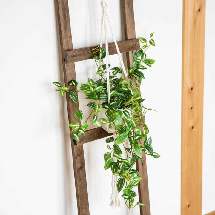 フェイクグリーンセブリナエクリアハンギング