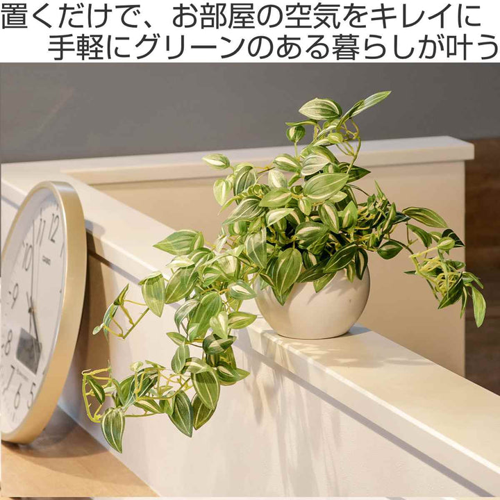 フェイクグリーンセブリナエクリアハンギング