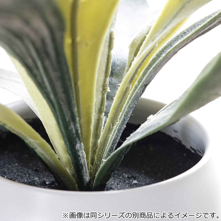 フェイクグリーンセブリナエクリアハンギング