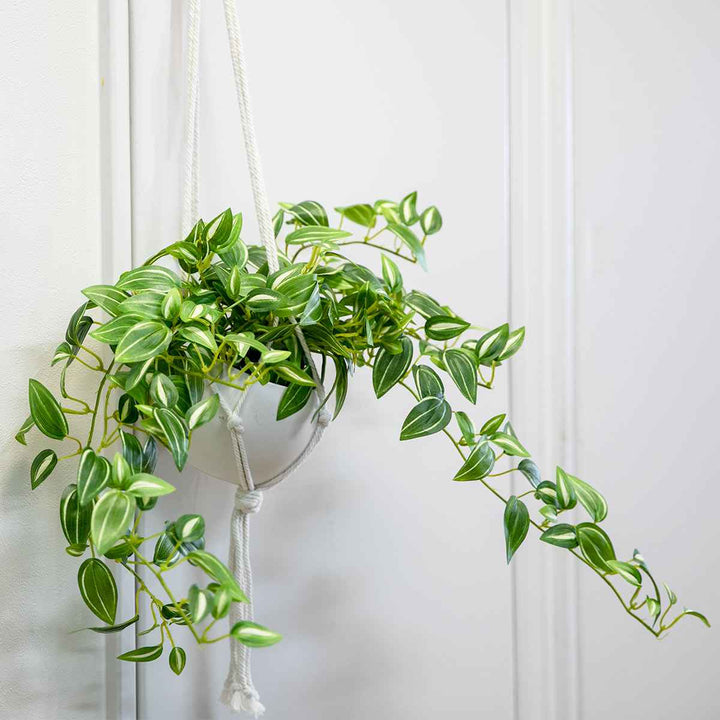 フェイクグリーンセブリナエクリアハンギング