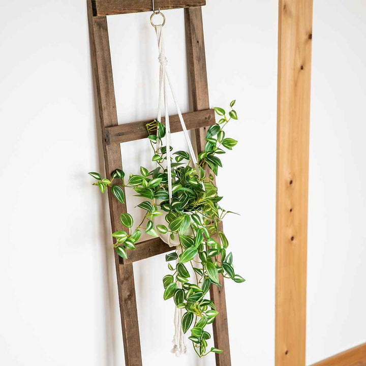 フェイクグリーンセブリナエクリアハンギング