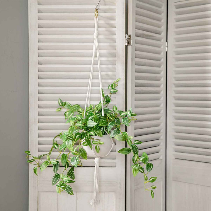 フェイクグリーンセブリナエクリアハンギング