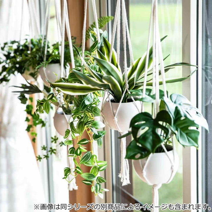 フェイクグリーンセブリナエクリアハンギング