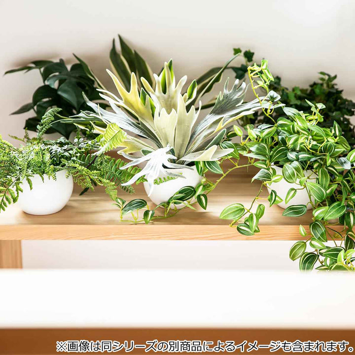 フェイクグリーンセブリナエクリアハンギング