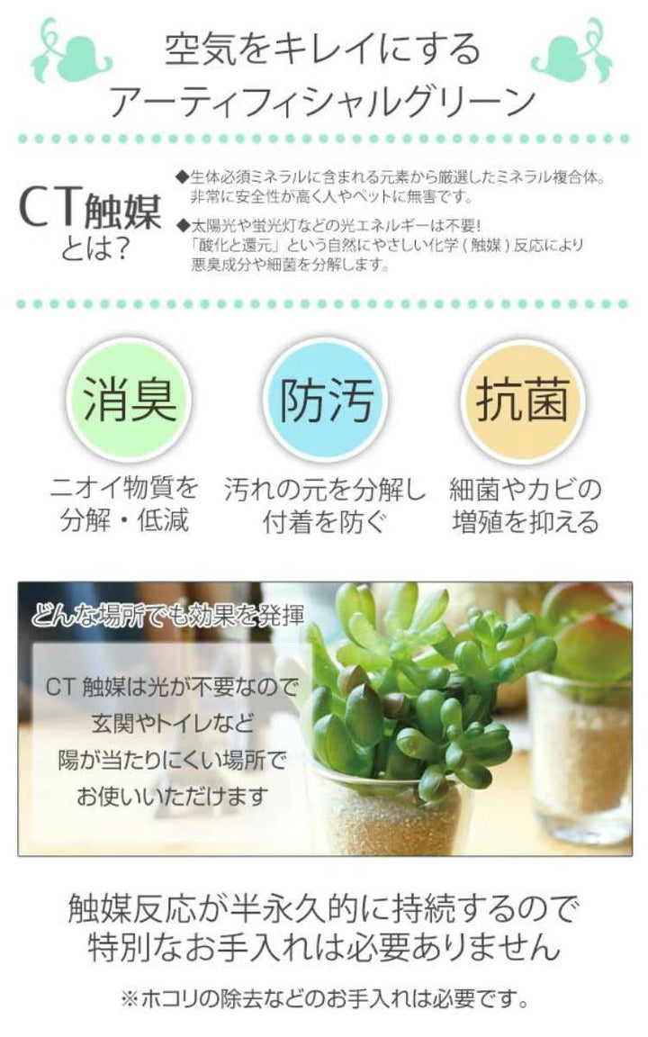 フェイクグリーンセブリナエクリアハンギング