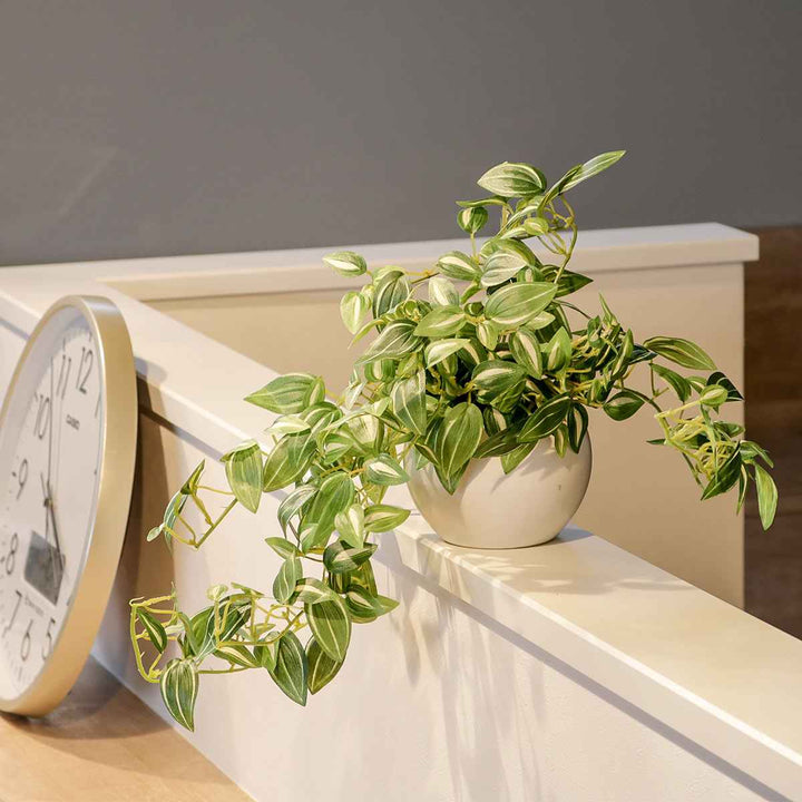 フェイクグリーンセブリナエクリアハンギング