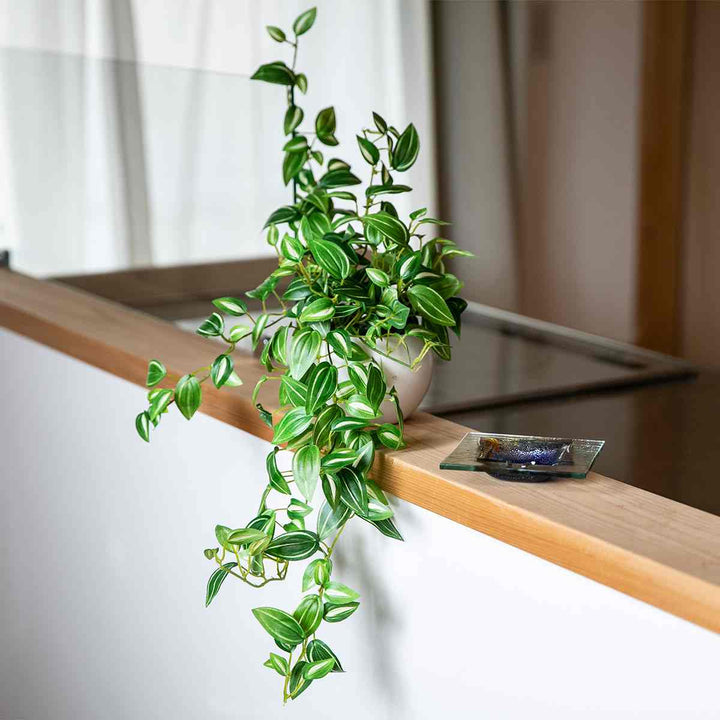 フェイクグリーンセブリナエクリアハンギング