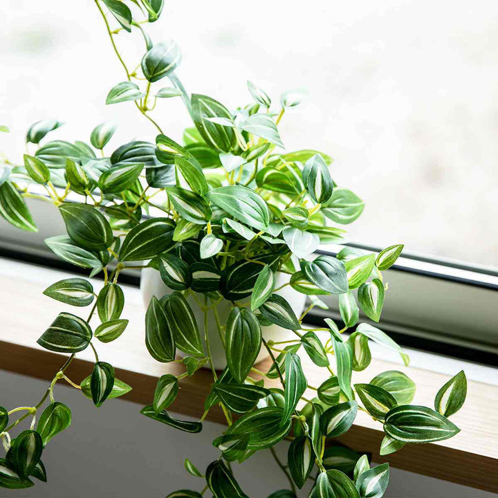 フェイクグリーンセブリナエクリアハンギング