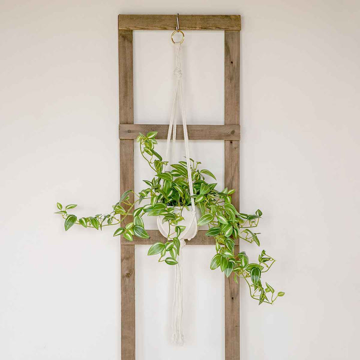 フェイクグリーンセブリナエクリアハンギング