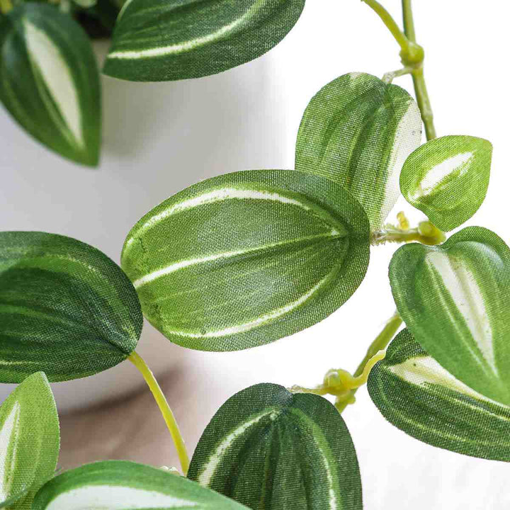 フェイクグリーンセブリナエクリアハンギング