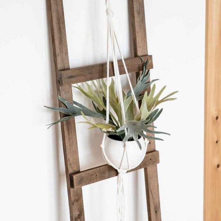 フェイクグリーンビカクシダエクリアハンギング