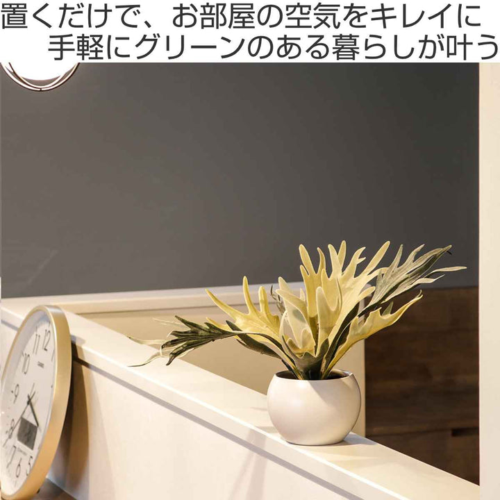 フェイクグリーンビカクシダエクリアハンギング