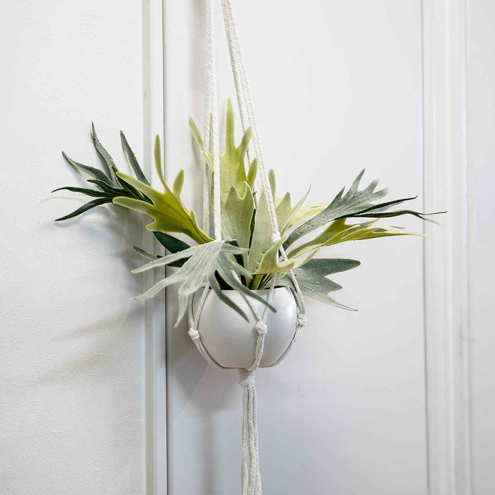 フェイクグリーンビカクシダエクリアハンギング