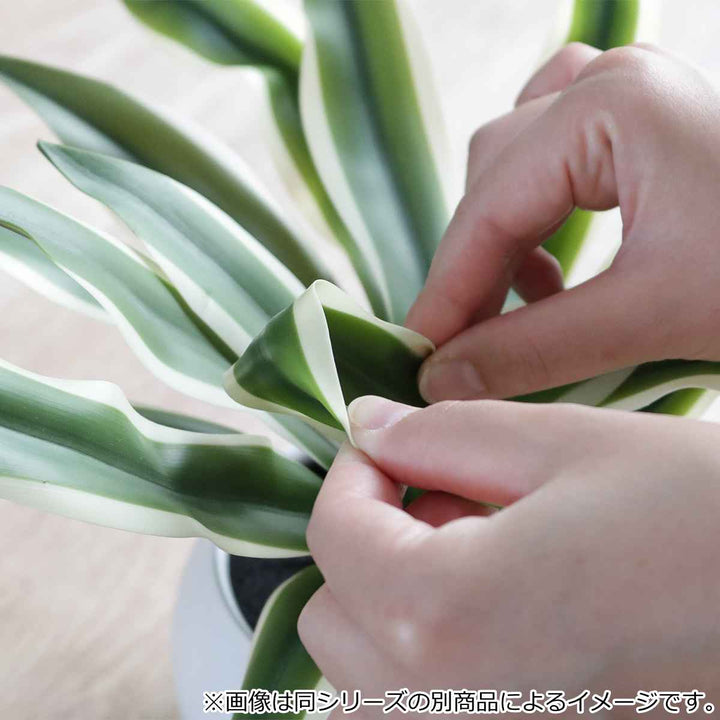 フェイクグリーンビカクシダエクリアハンギング