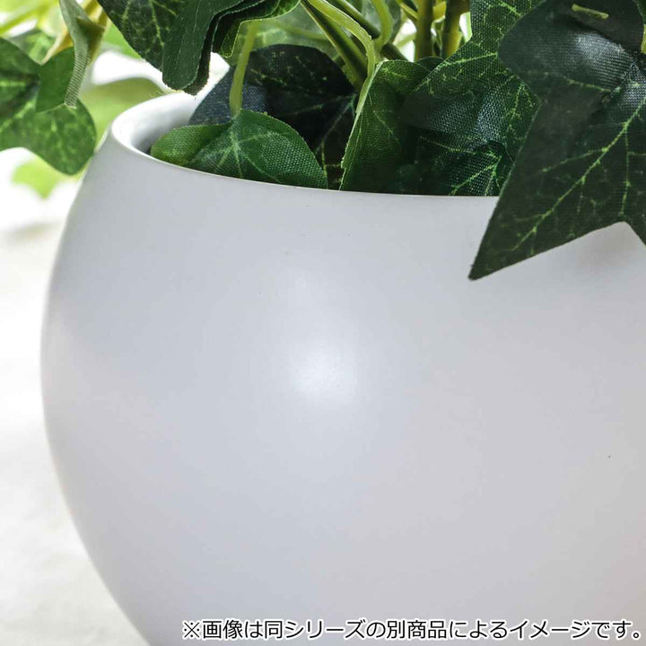 フェイクグリーンビカクシダエクリアハンギング