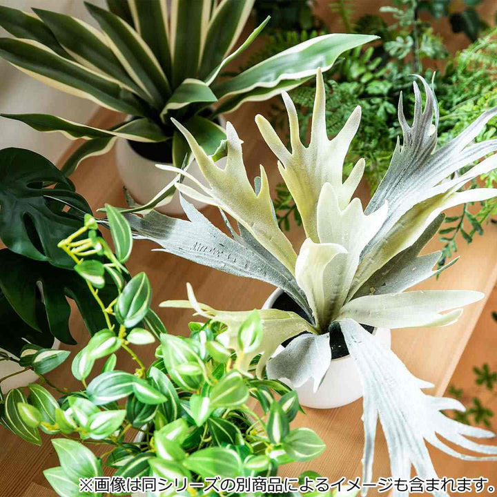 フェイクグリーンビカクシダエクリアハンギング