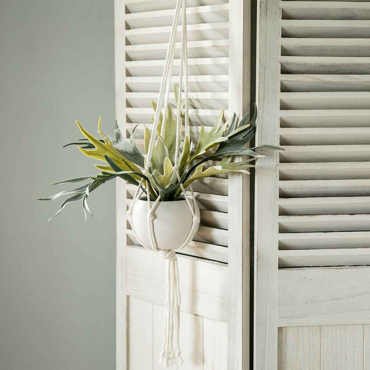 フェイクグリーンビカクシダエクリアハンギング