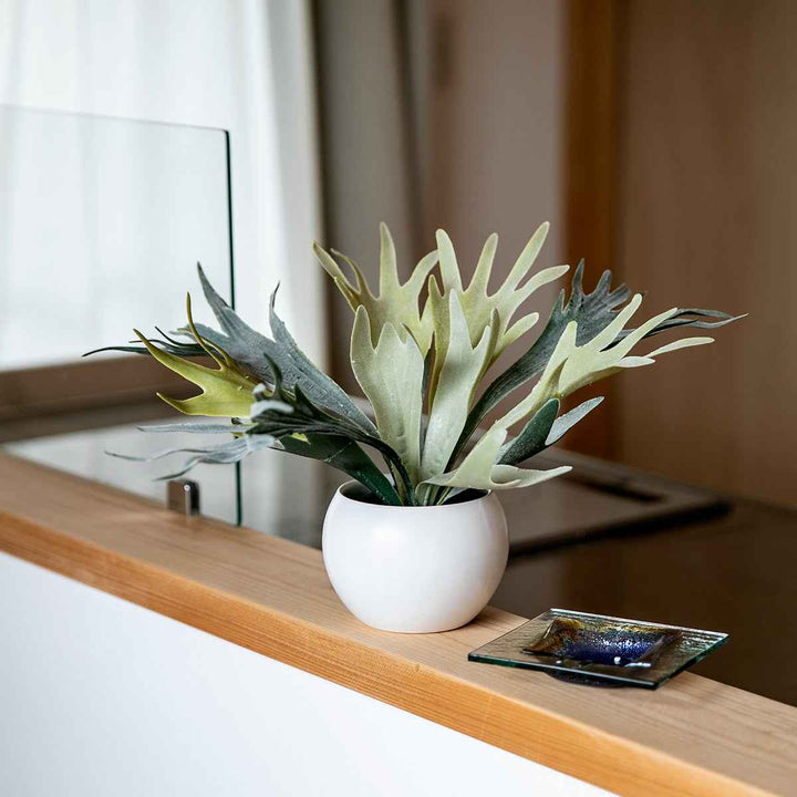 フェイクグリーンビカクシダエクリアハンギング