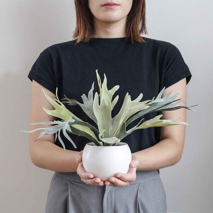 フェイクグリーンビカクシダエクリアハンギング