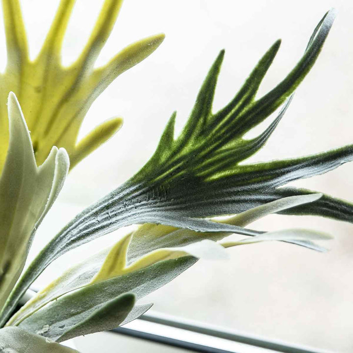 フェイクグリーンビカクシダエクリアハンギング