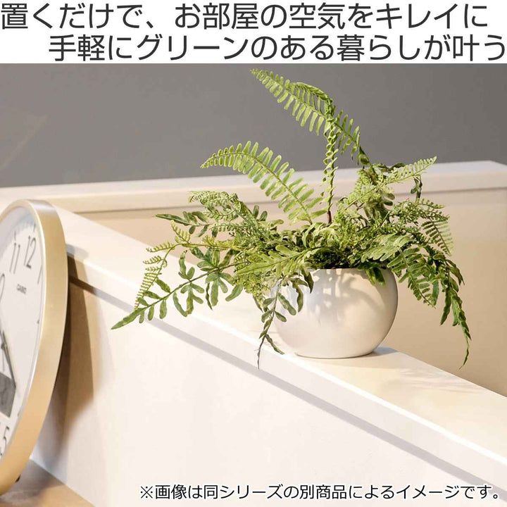 フェイクグリーンシュガーバインエクリアハンギング