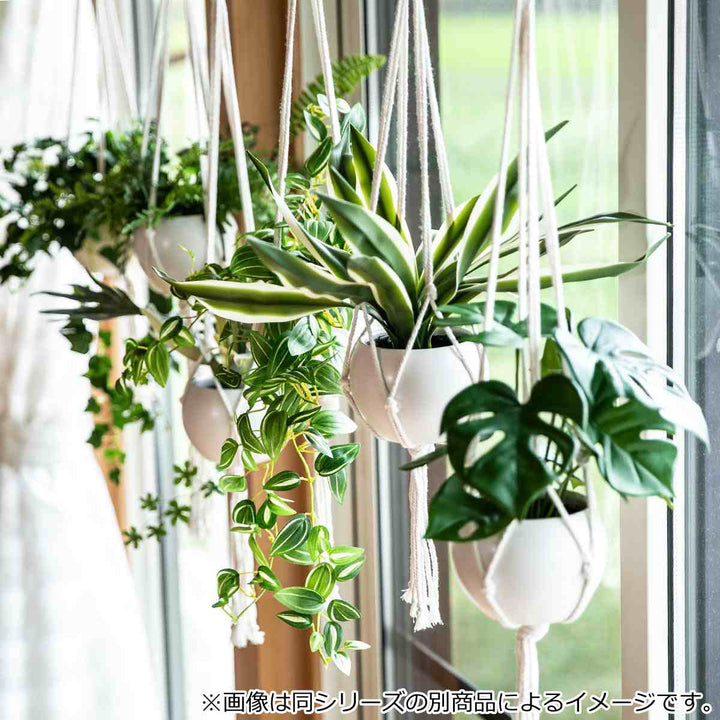 フェイクグリーンシュガーバインエクリアハンギング