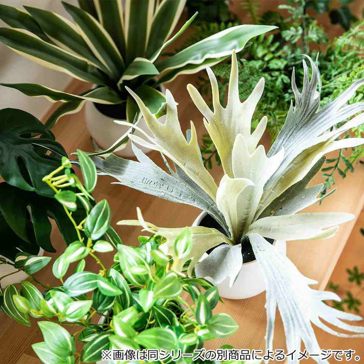 フェイクグリーンシュガーバインエクリアハンギング