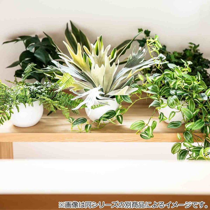 フェイクグリーンシュガーバインエクリアハンギング