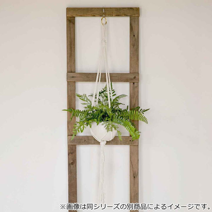 フェイクグリーンシュガーバインエクリアハンギング