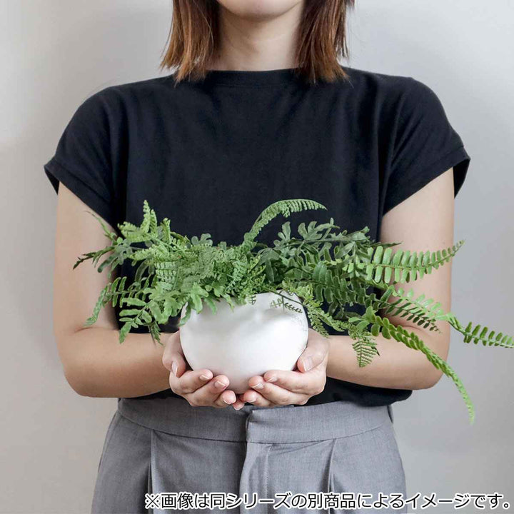 フェイクグリーンシュガーバインエクリアハンギング