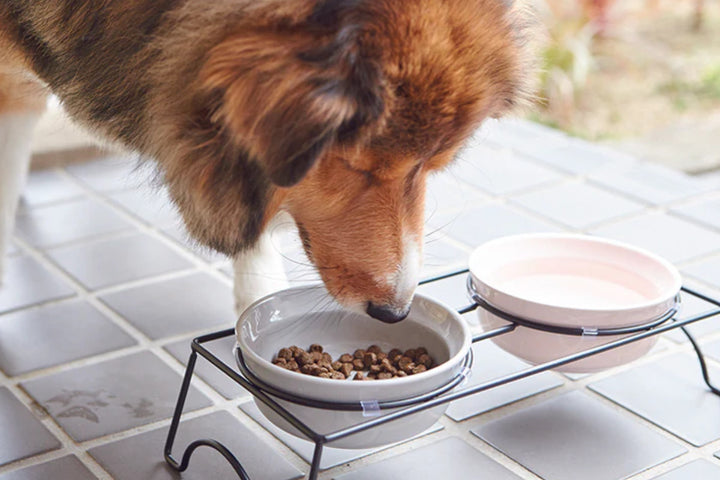 犬犬用食器ボウルダブルセットグレー/ピンクAppeTITDOGROUNDM390mlイヌ食器台