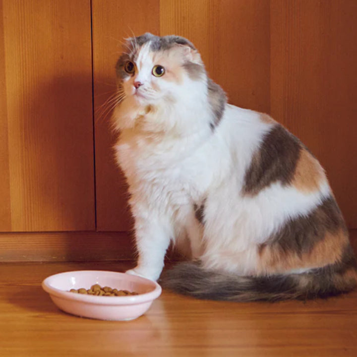 猫猫用食器ボウルAppeTITアペティCATOVAL200mlネコオーバル