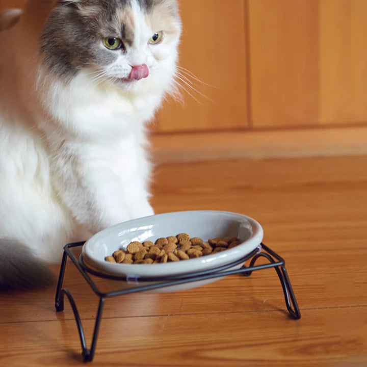 猫猫用食器ボウルシングルセットAppeTITアペティCATOVAL200mlネコオーバル食器台