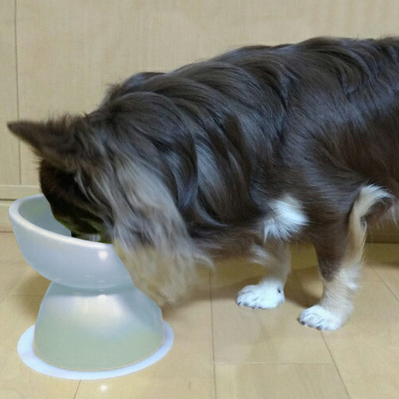 ペット用食器超小型犬用陶器