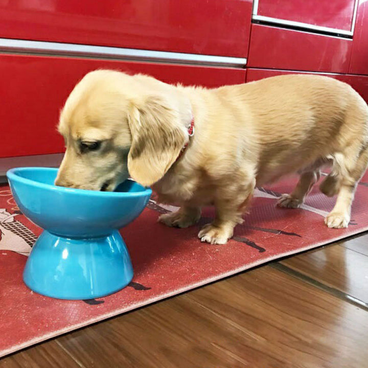 ペット用食器小型犬用陶器