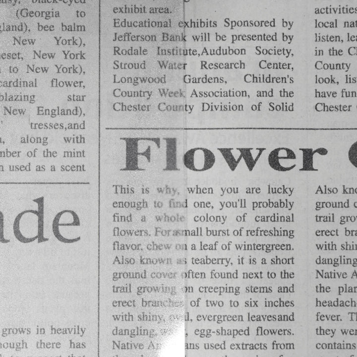 テーブルクロス90×150cmエアーが入らないテーブルマット塩化ビニル樹脂