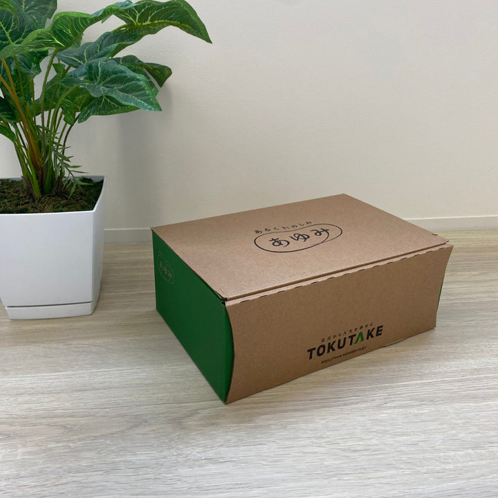 介護シューズあゆみゆったり簡単スリップオン両足3ES～LL施設用