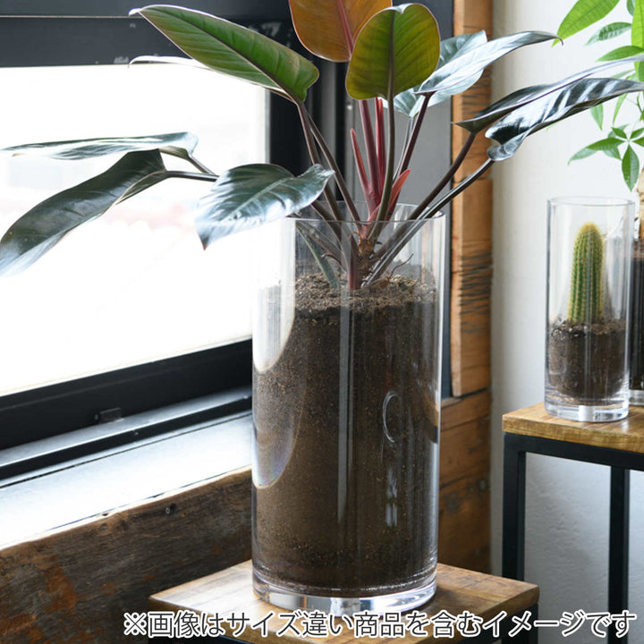 花瓶割れないガラスPVシリンダー直径10×高さ10cm