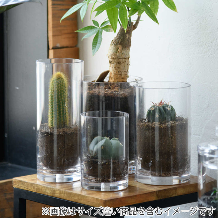 花瓶割れないガラスPVシリンダー直径10×高さ33cm