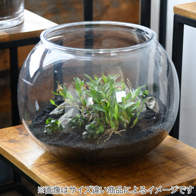 花瓶割れないガラスPV球形直径30×高さ22.5cm
