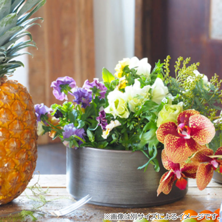 花瓶MC浅型円柱直径14×高さ8cm