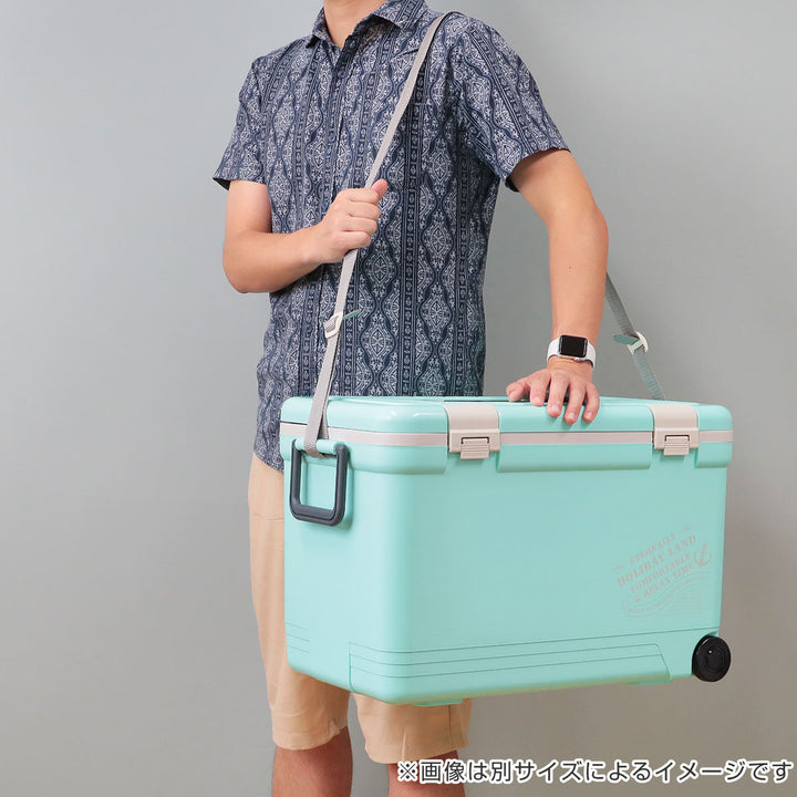 クーラーボックス27Lホリデーランドクーラーハードタイプ