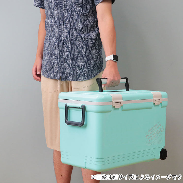 クーラーボックス27Lホリデーランドクーラーハードタイプ