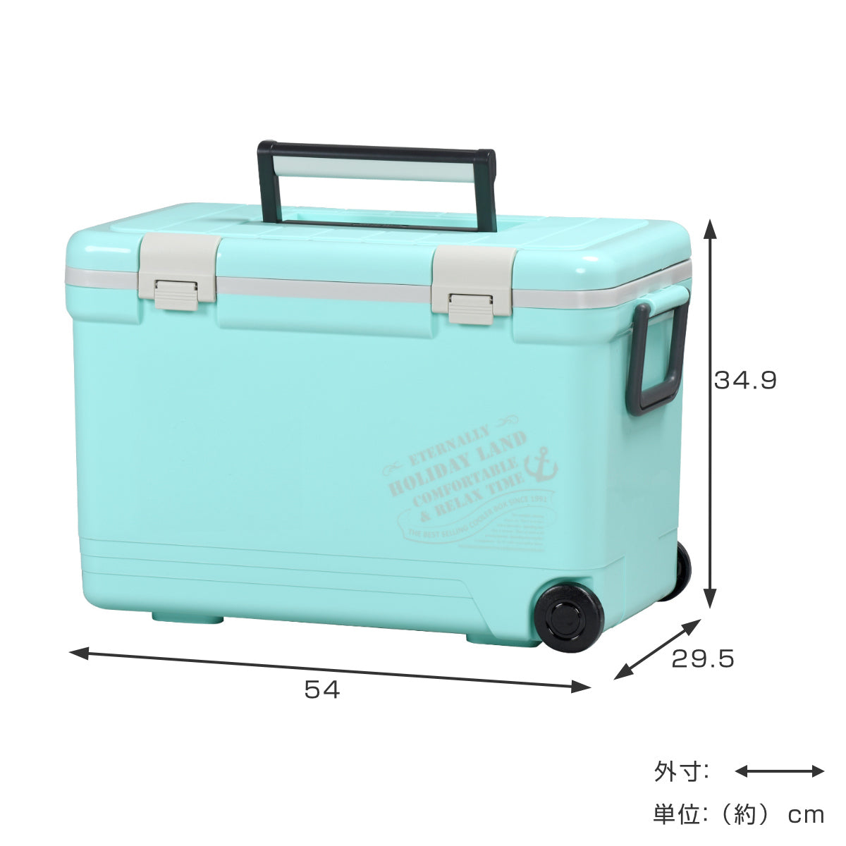 クーラー クーラーボックス 27L ホリデーランドクーラー ハードタイプ – ハウジー